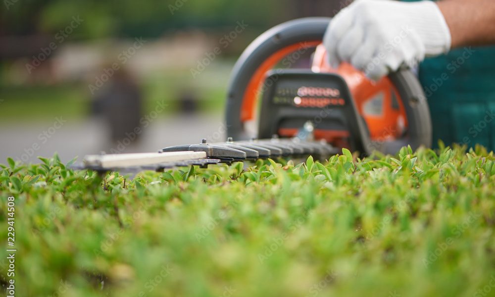 1000_F_229414508_jMzbLlHc71DbhMiXjZ6O3uieRjmWNocw